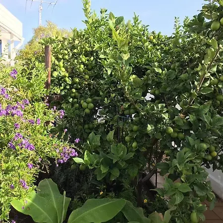 Penthouse In Oceanfront - Next To The Διαμέρισμα *